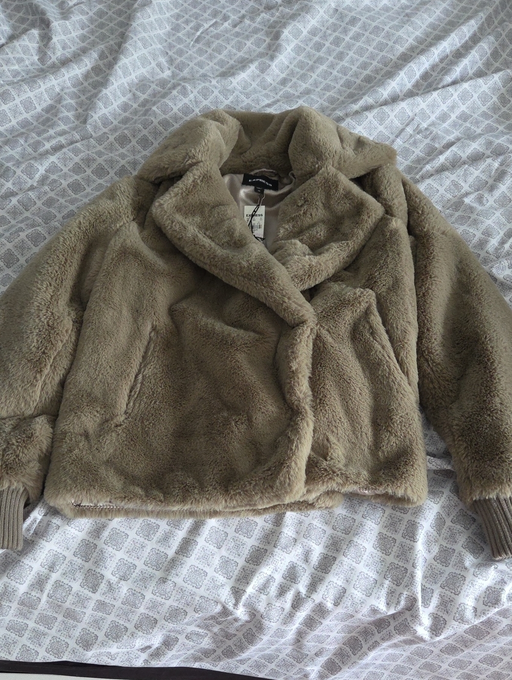 Express Plush Teddy Jacket in Olive